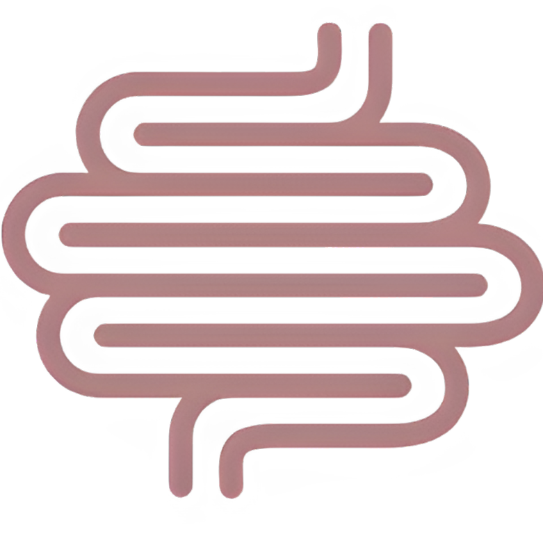 IBS Logo